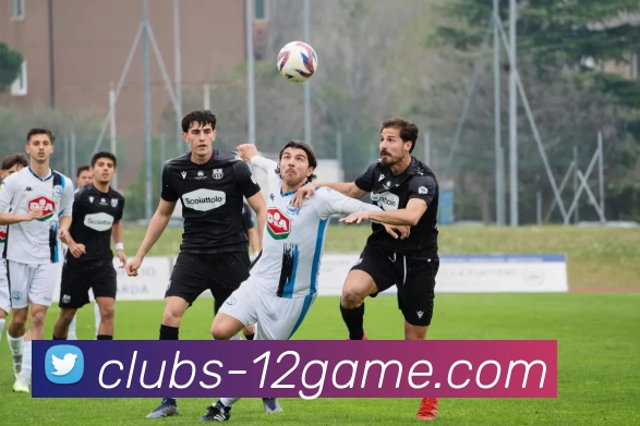 壹贰博官网平台生态图