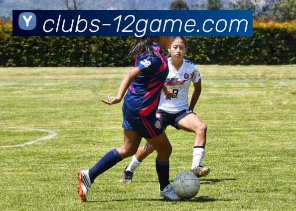 壹贰博官网APP 封面图